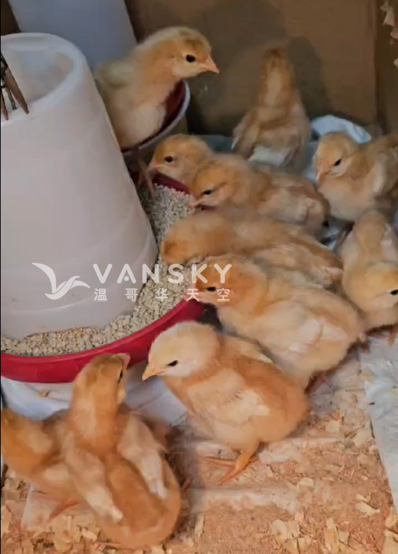 260326175008_Weixin Image_20260326174929_360_1.png